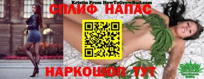 mdpv Обь