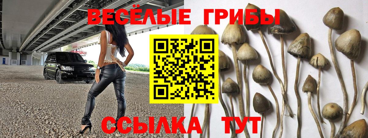 Псилоцибиновые грибы мицелий Рузаевка